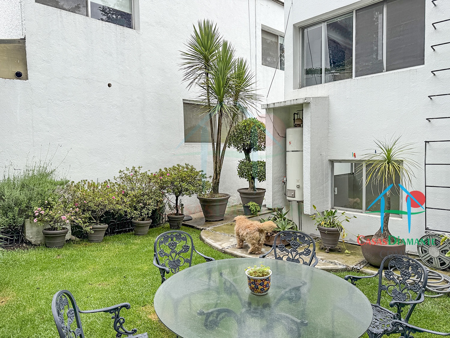 Desierto de los Leones Casa Claudia EHIB - Fachada 5 Desierto de los Leones Casa Claudia EHIB - Fachada 5